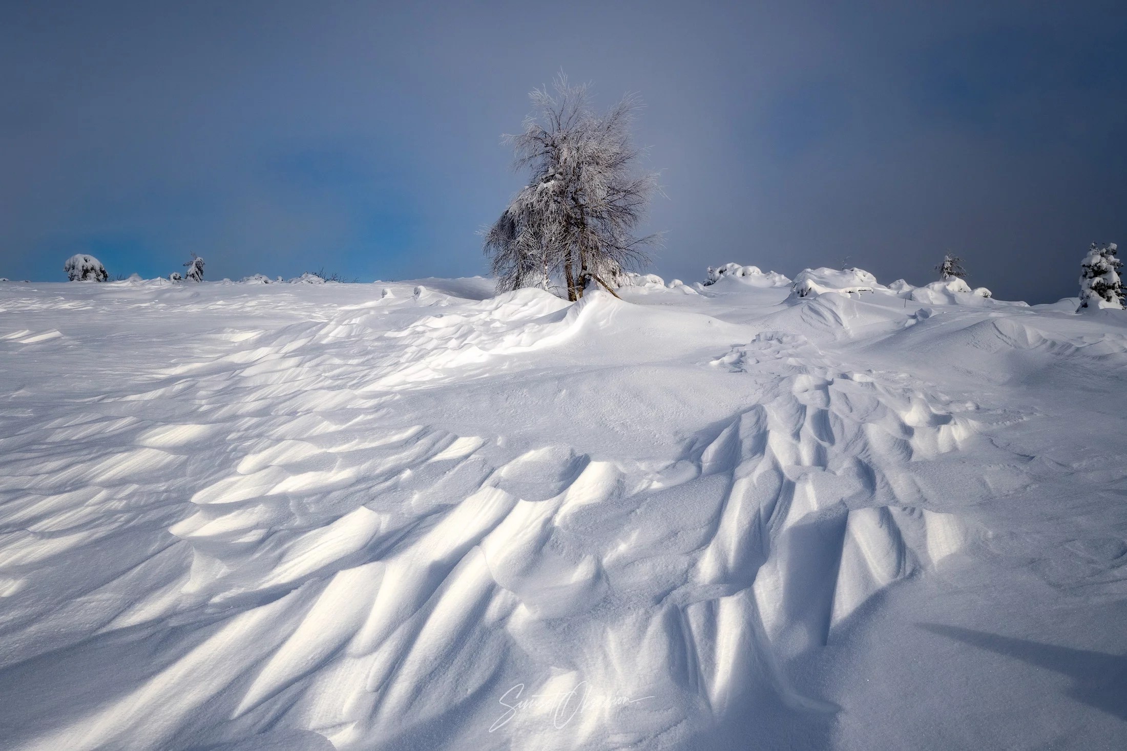 Beautiful Winter Wonderland in Black Forest, Southern Germany