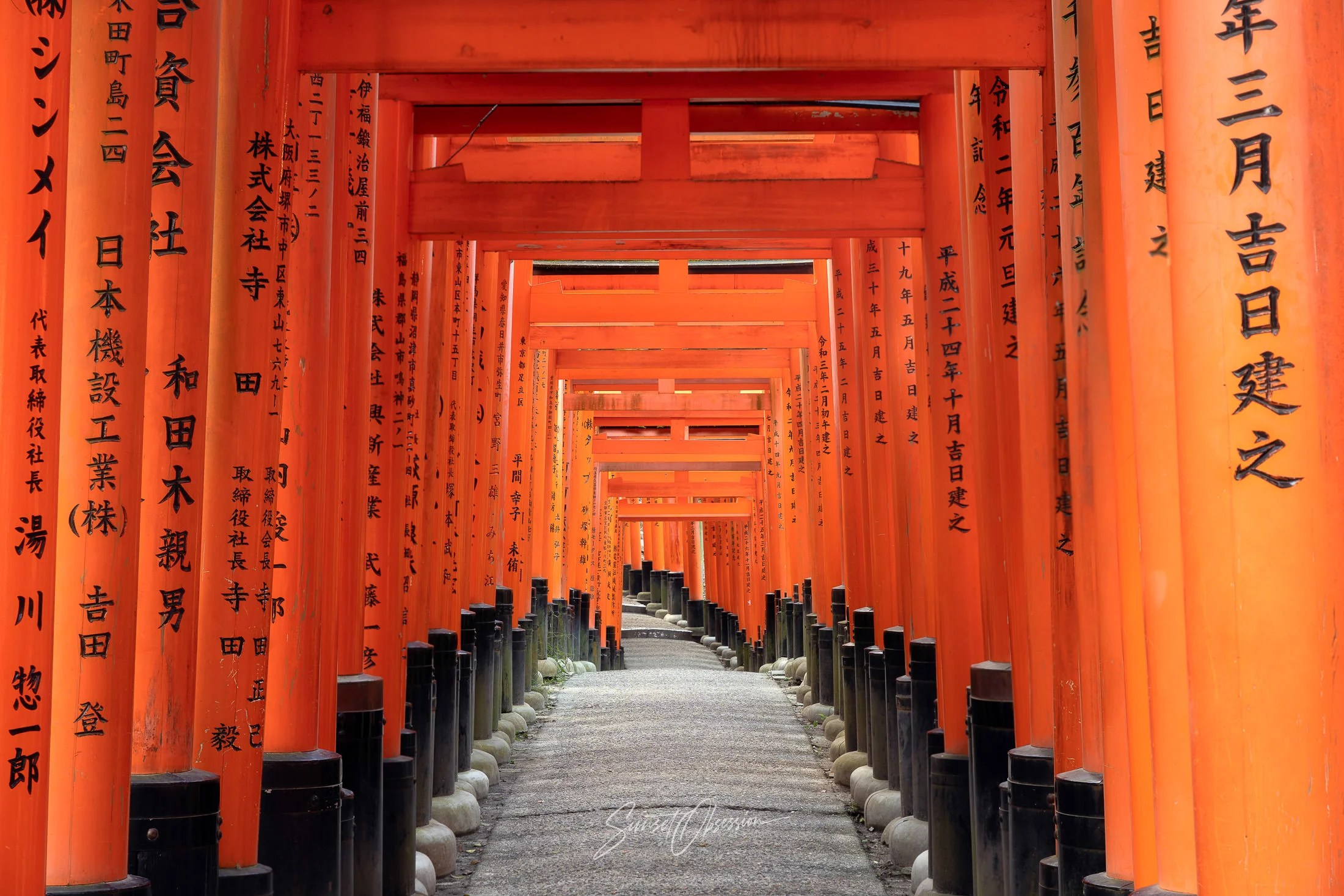 Fushimin Inari Shrine is an iconic photography spot in Kyoto