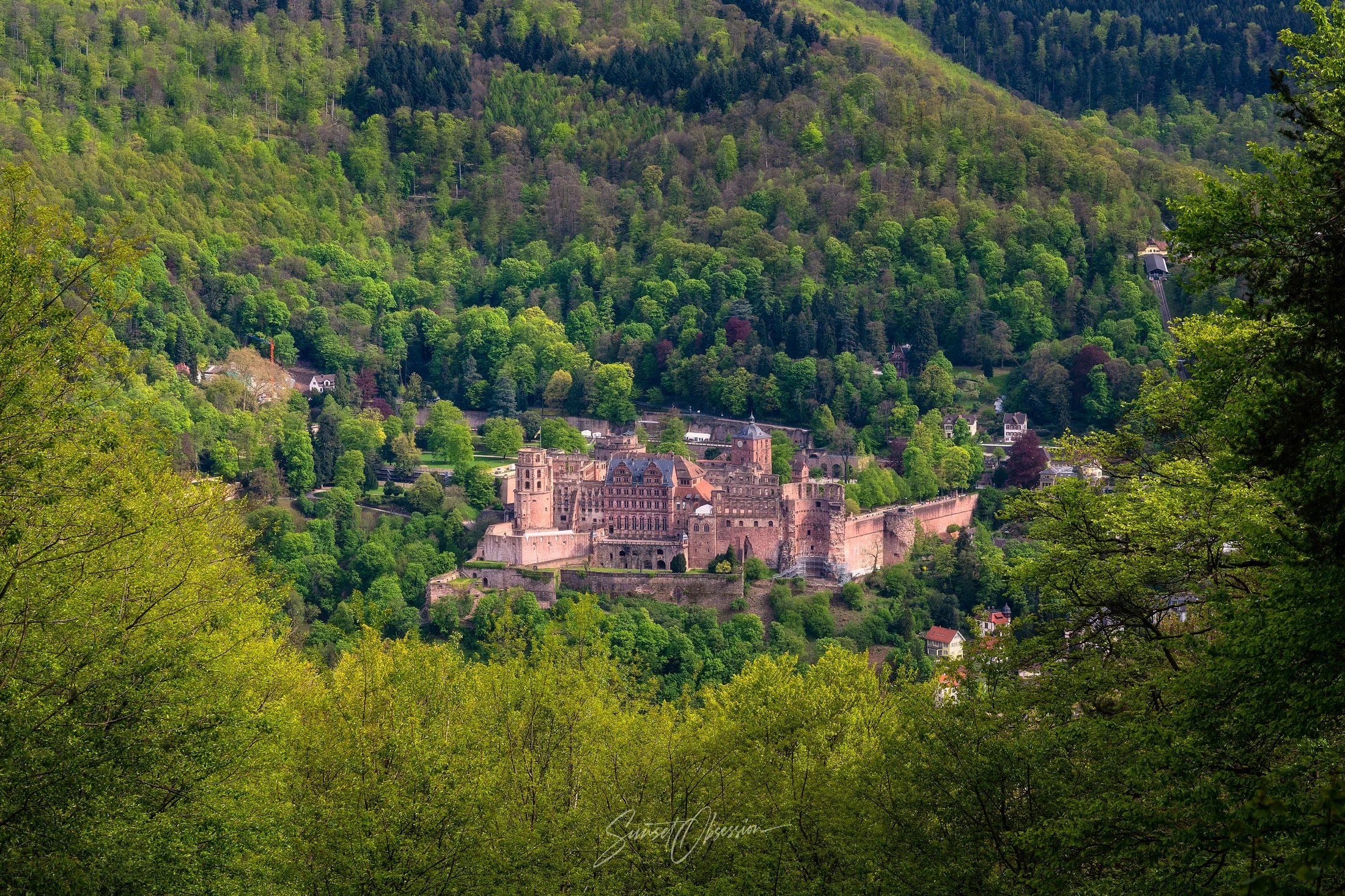 A view of Heidelberg Castle from Heiligenberg hill viewpoint