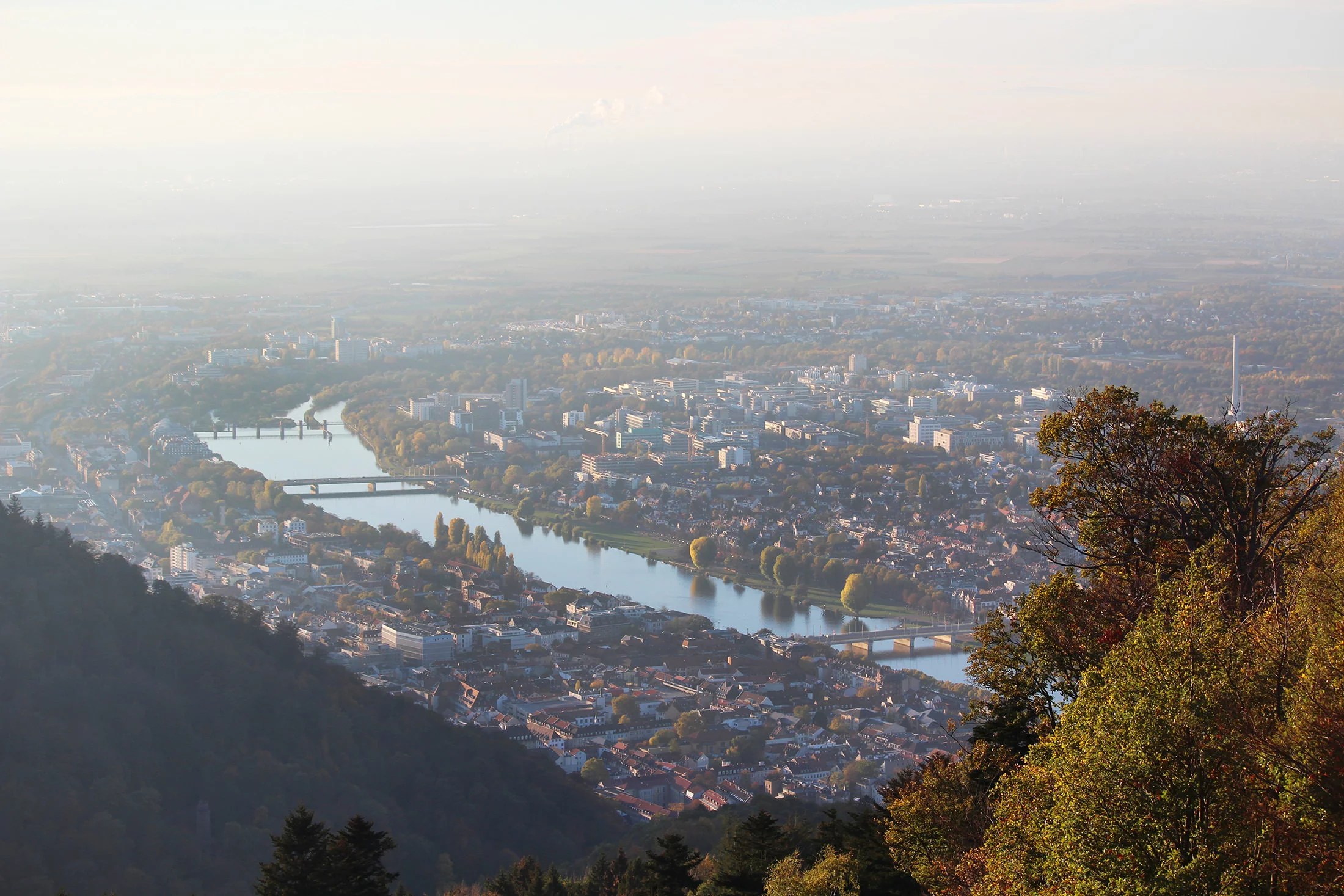 View of Heidelberg from the Koenigstuhl summit