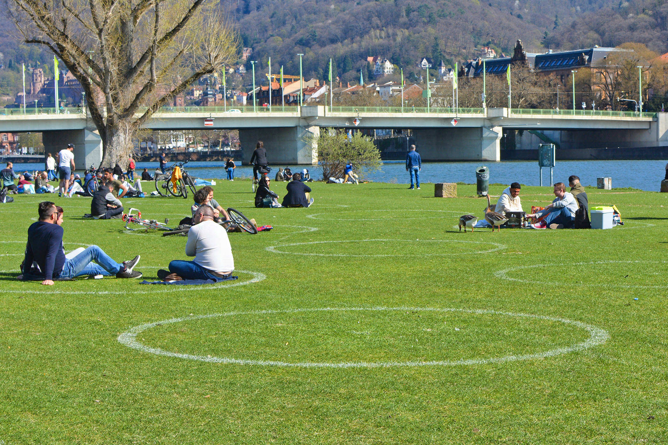 A relaxed afternoon on the Neckarwiese, Heidelberg, Germany