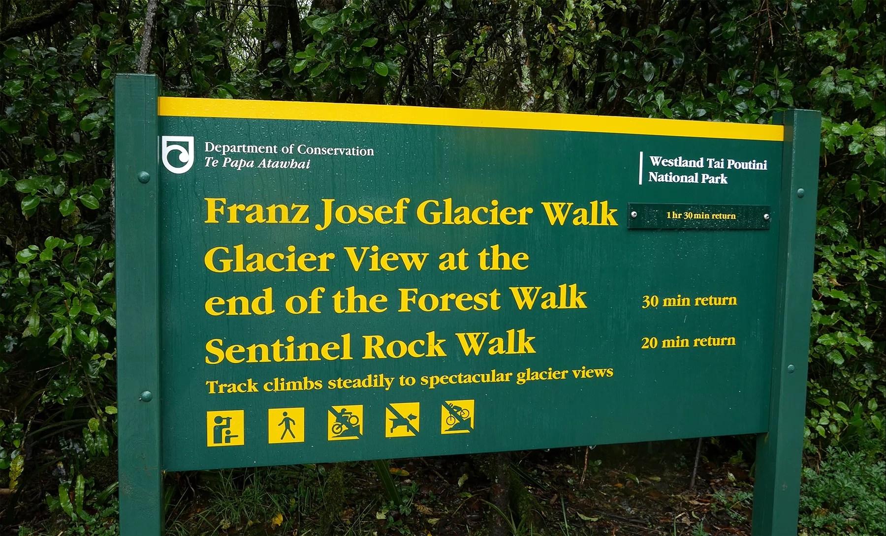 There are a few options for hiking at Franz Josef Glacier