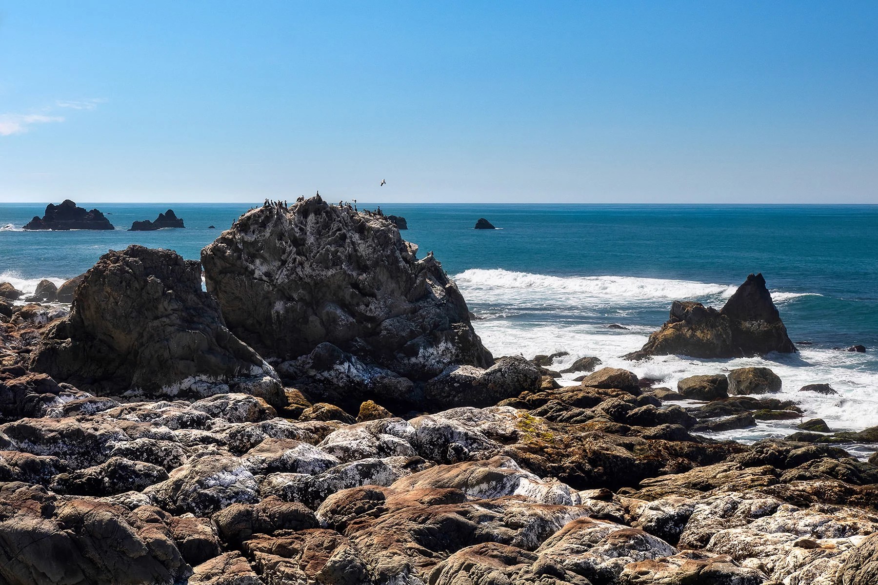 Rugged ocean coastline just north of Kaikoura, New Zealand