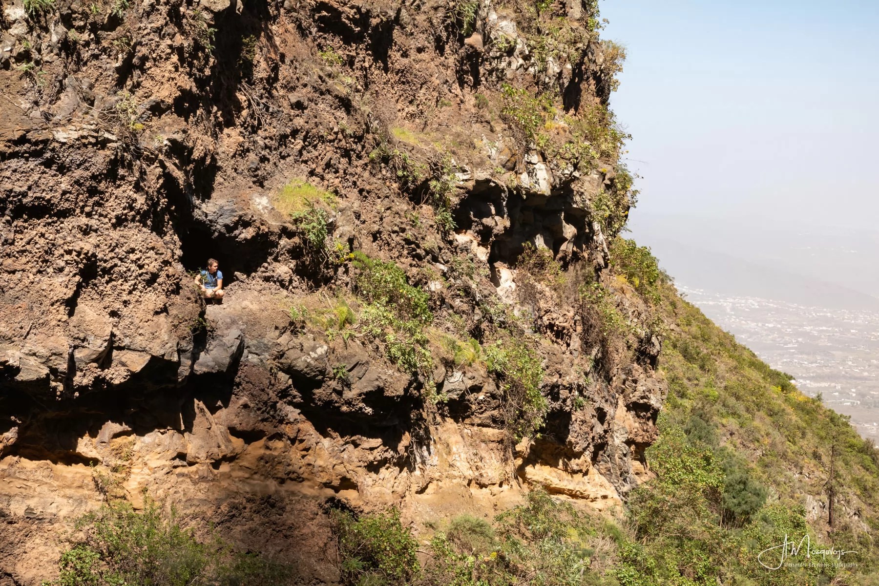Looking out the window