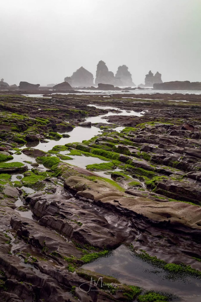 Motukiekie Beach during low tide