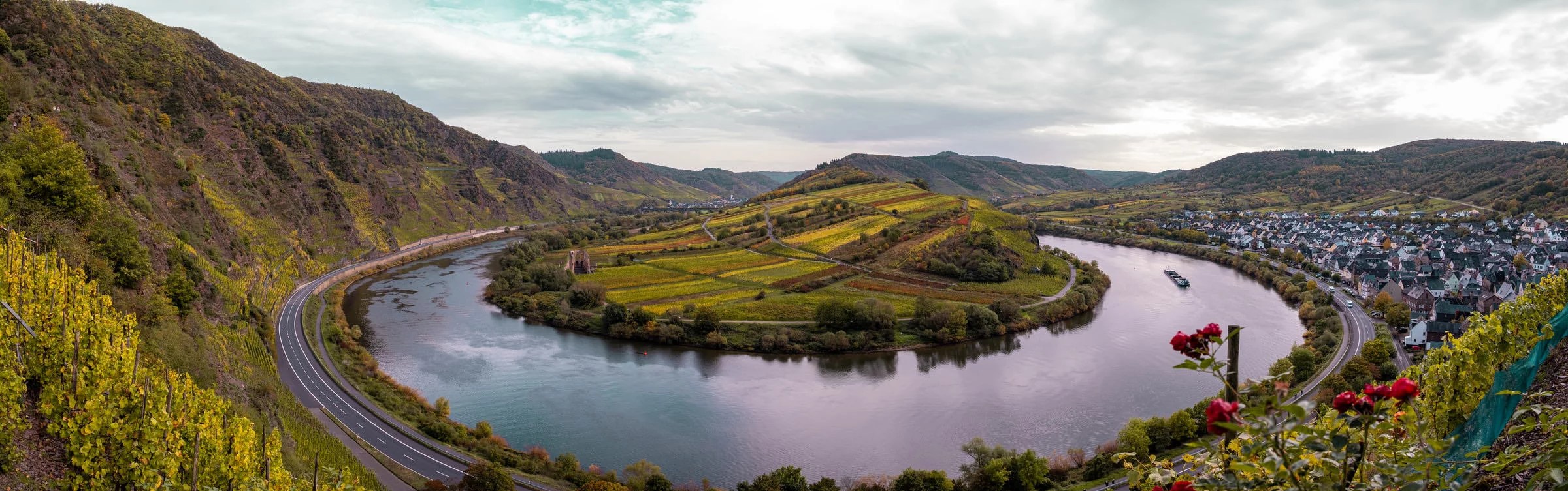 Mosel is home to Riesling and a very picturesque German region