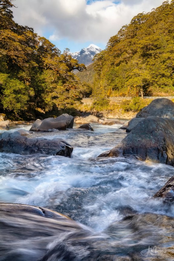 Hollyford River, Milford Sound road, New Zealand