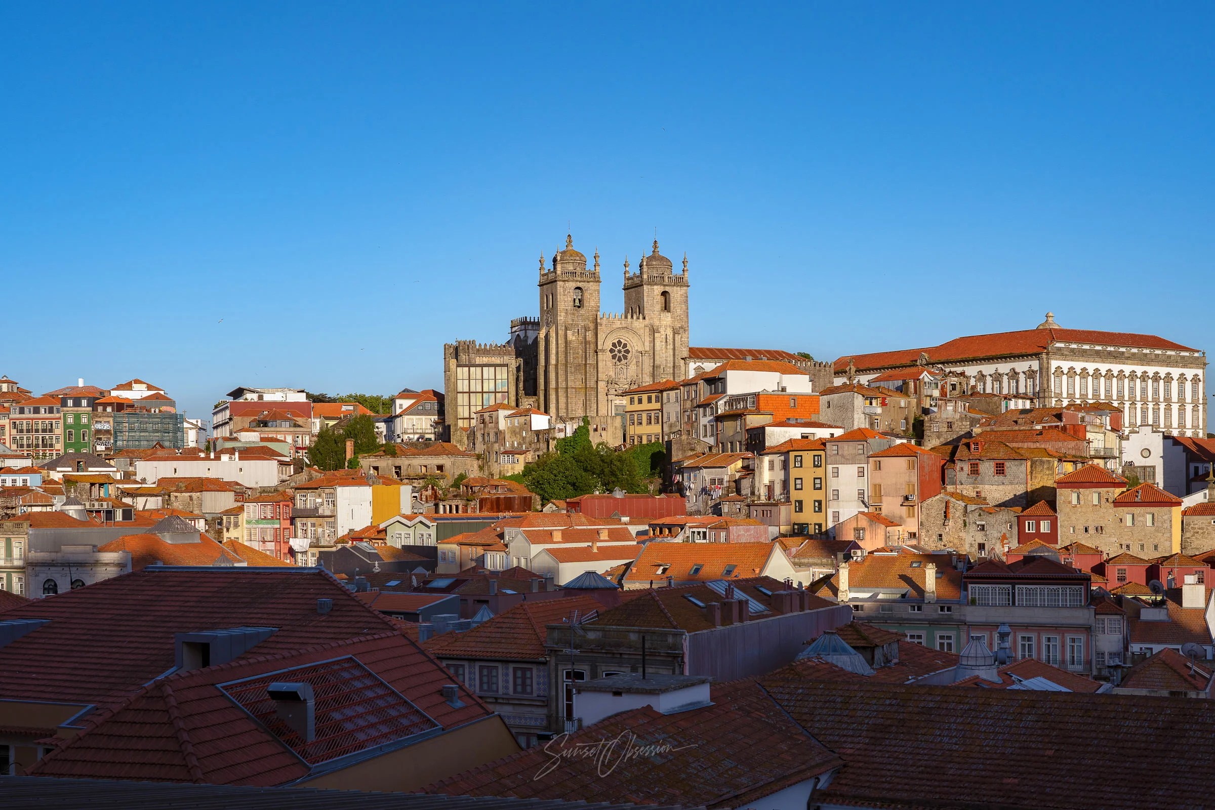 Porto Cathedral during the golden hour of a sunny day