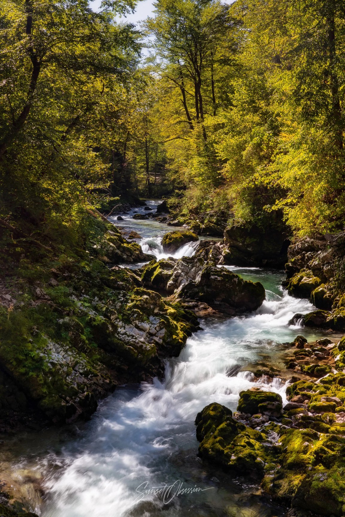Radovna river making its way through the Vintgar Gorge, Slovenia