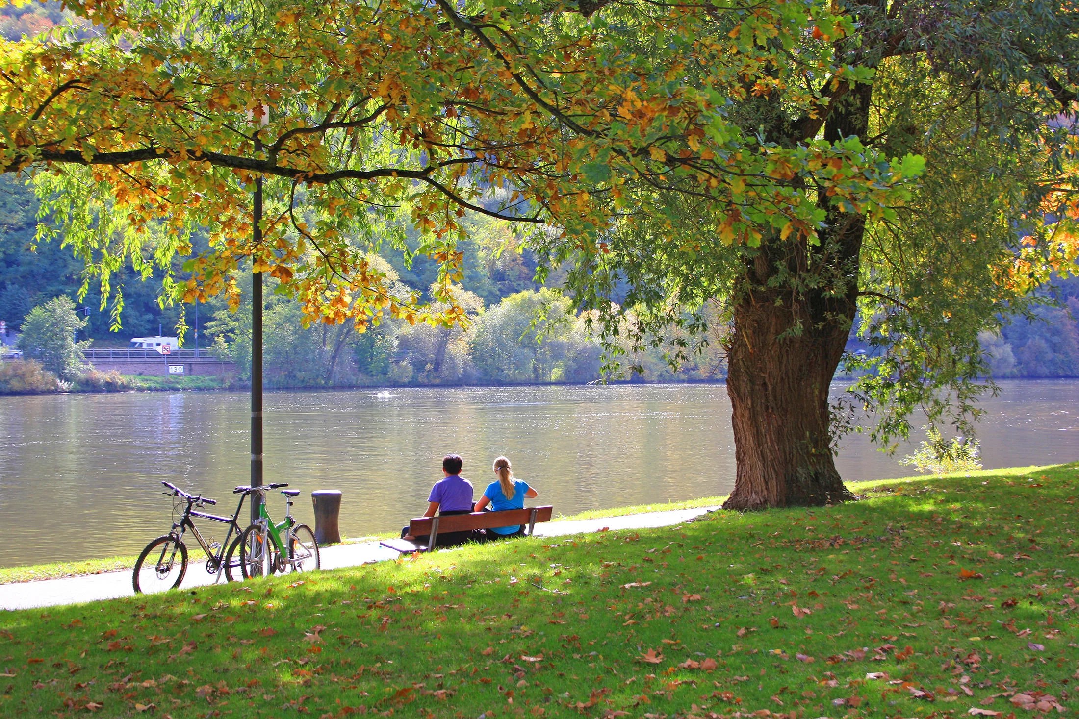 Relaxing under the tree on the river