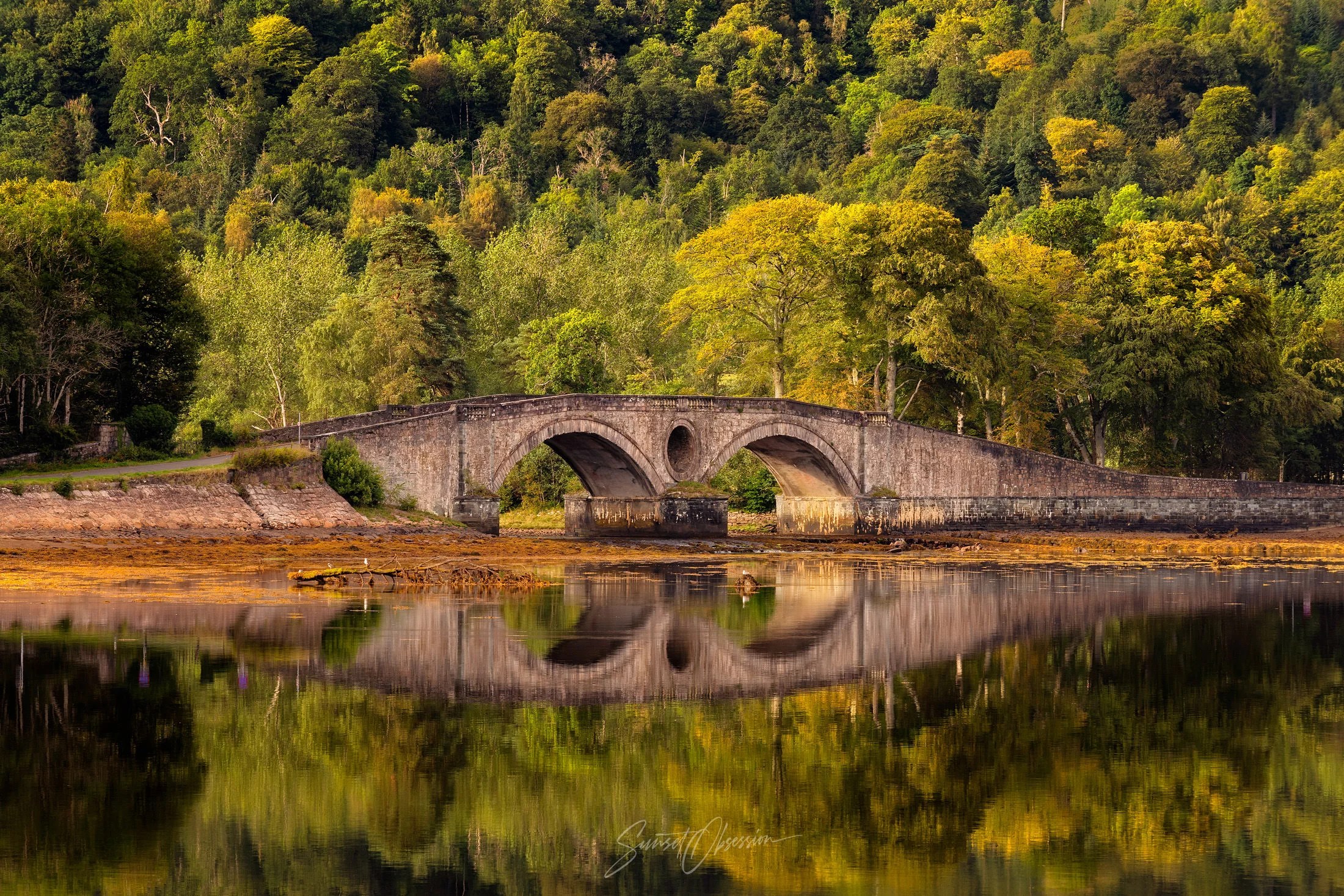 Early fall colors in the Glencoe area
