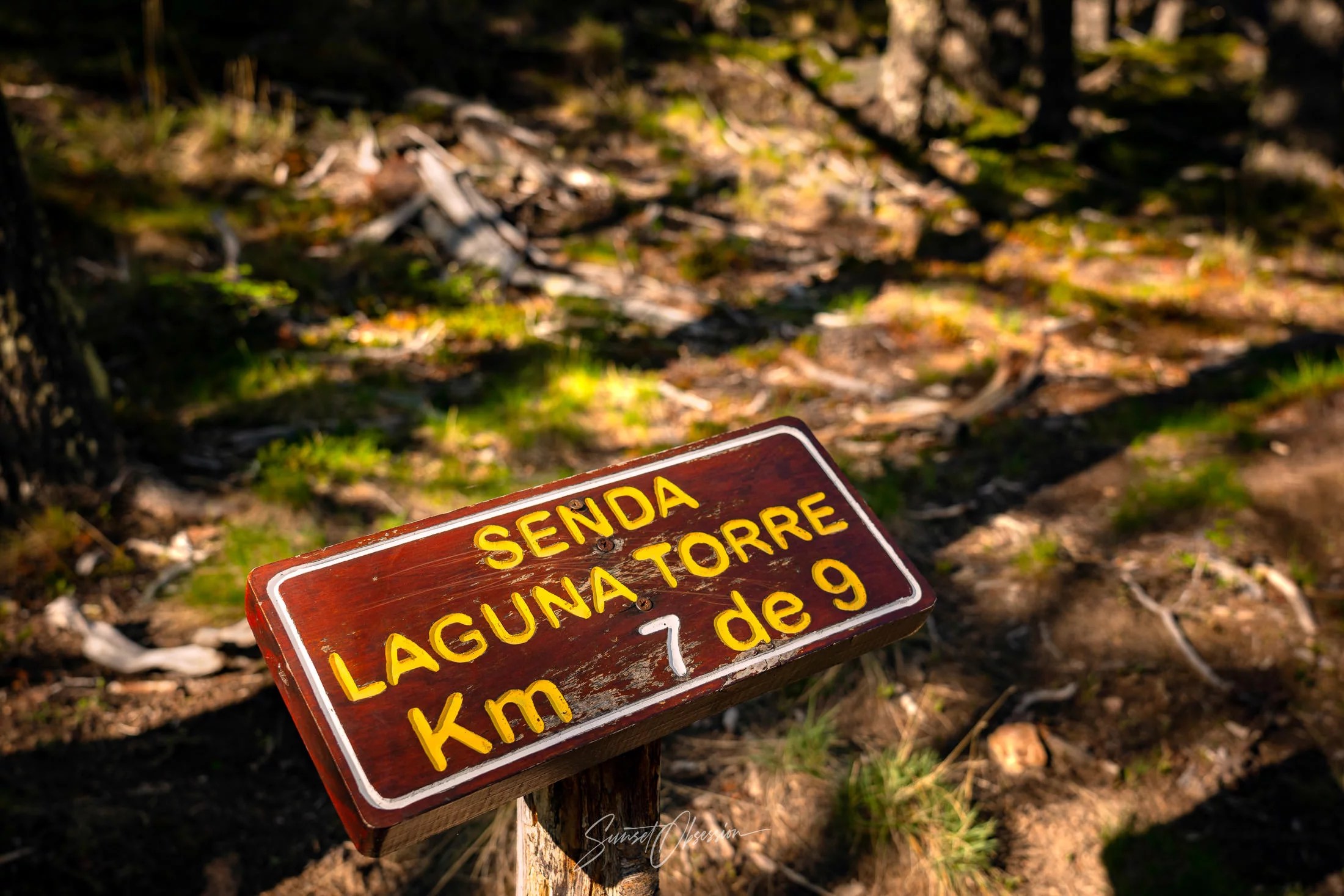 The route to Laguna Torre is well-marked