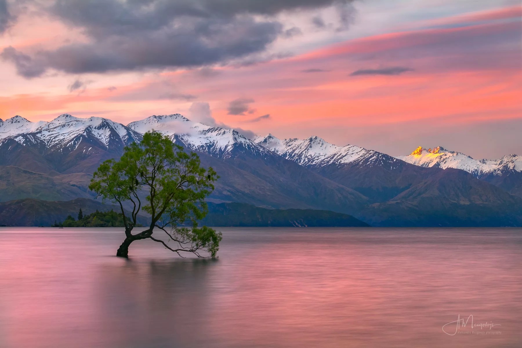 Wanaka Tree should is a must-see spot in this landscape photographer's mini guide to Wanaka