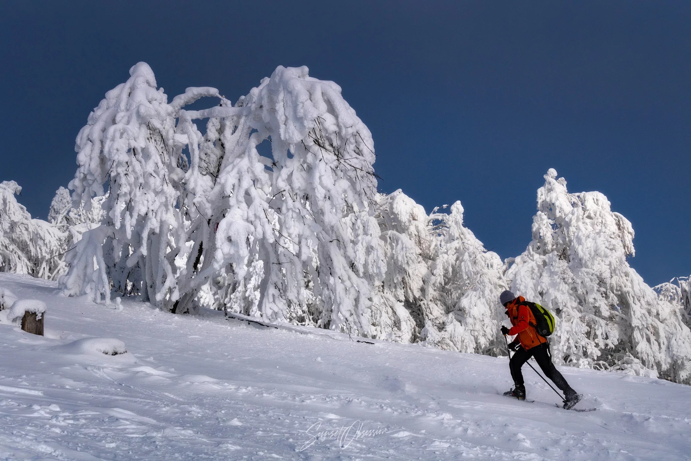 A skier going up the hill on Feldberg