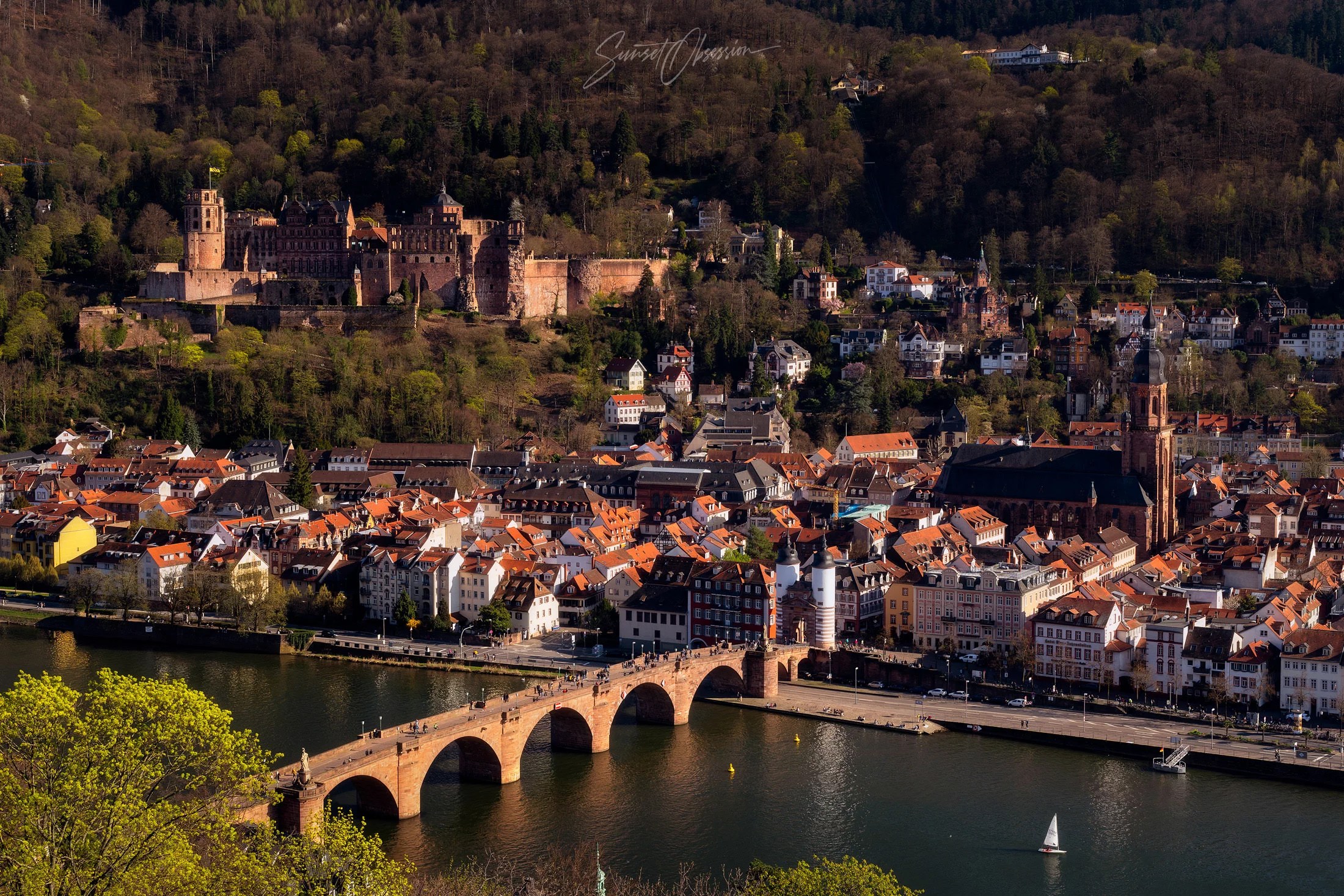 Panoramic view of Heidelberg from the Philosopher's Way, Germany