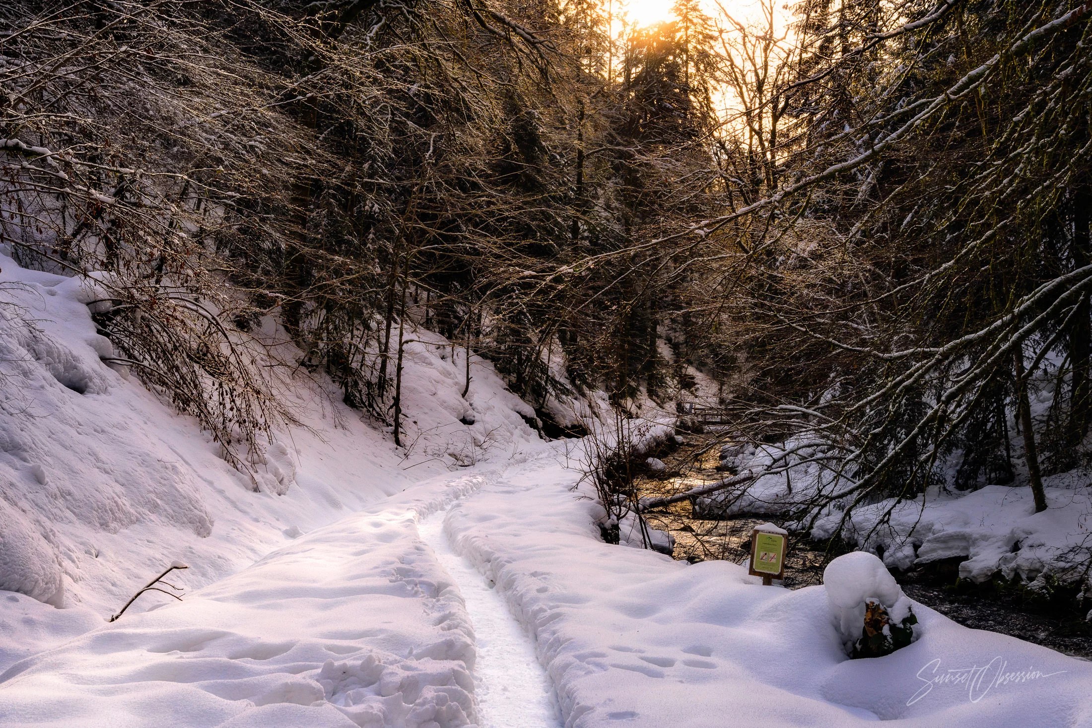 Winter days in the Black Forest are just gorgeous