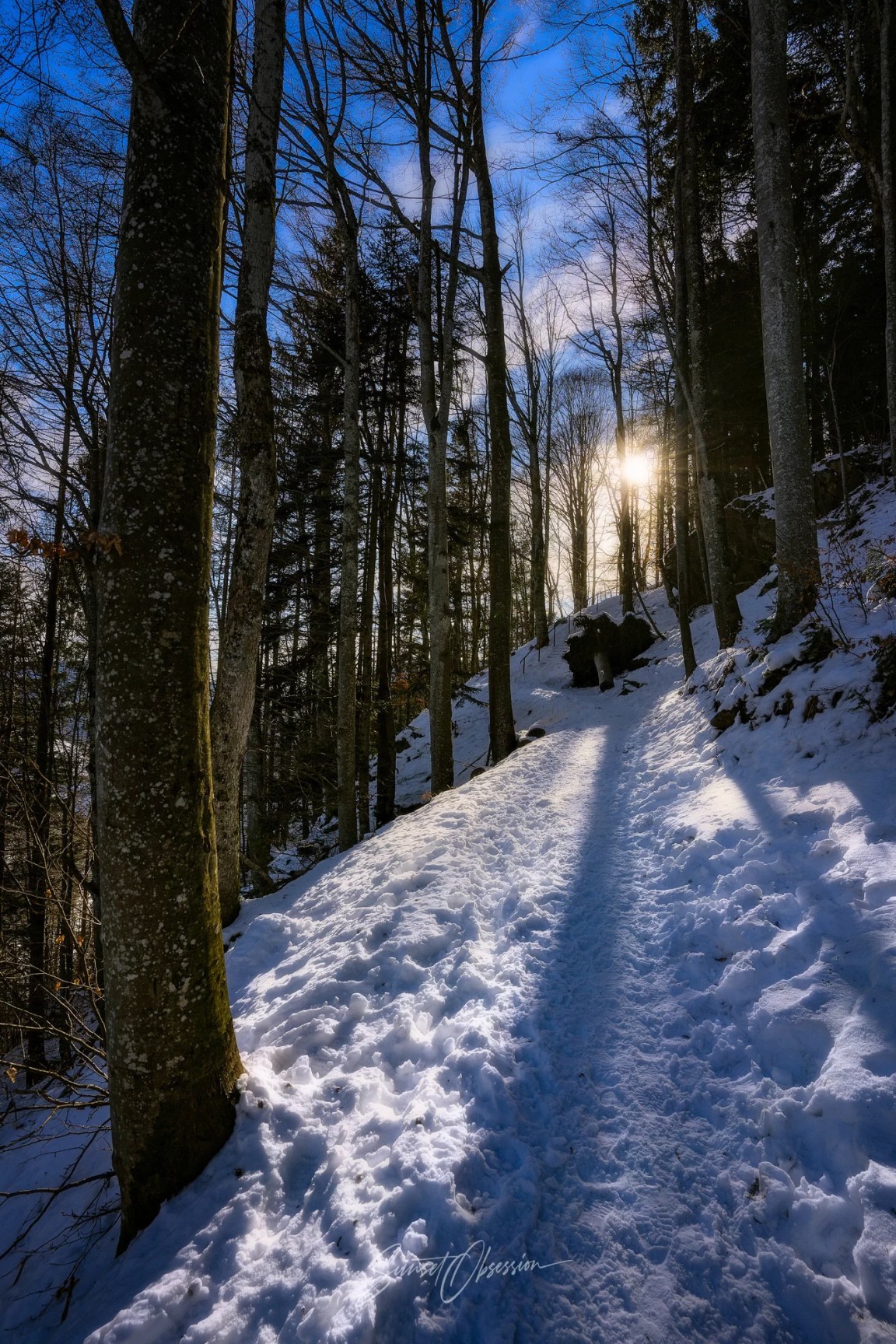 Winter wonderland in the Black Forest, southern Germany